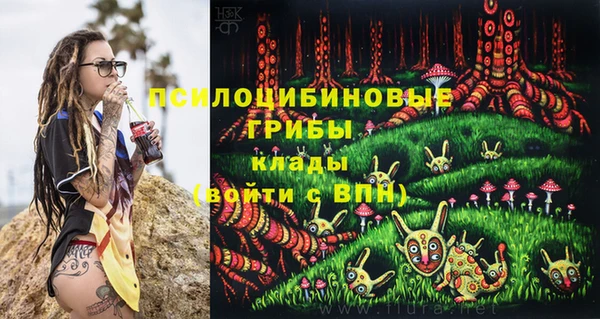 герыч Богородск