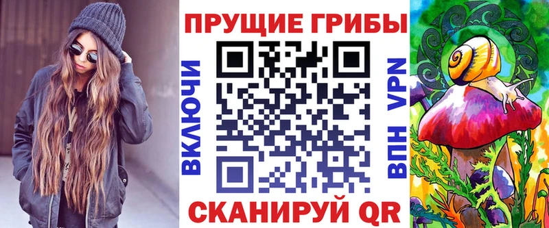 наркотики  Чишмы  Псилоцибиновые грибы GOLDEN TEACHER 